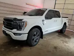 1FTFW1ED1PFC82845 2023 FORD F-150