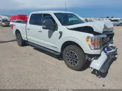 1FTFW1ED1PFD04620 2023 FORD F-150