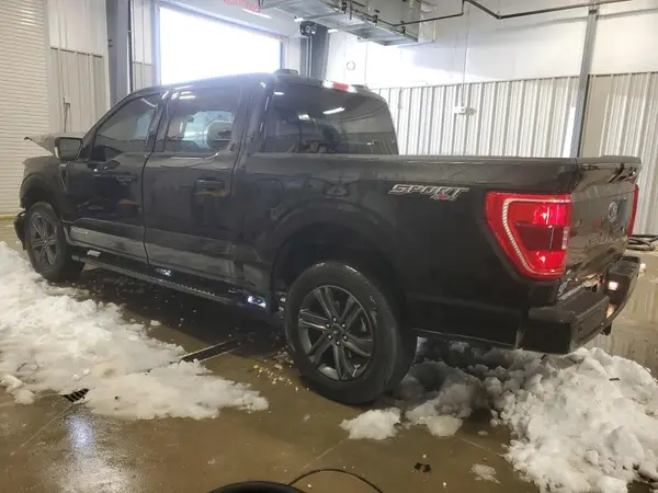 1FTFW1ED1PFD06755 2023 FORD F-150 - Image 2