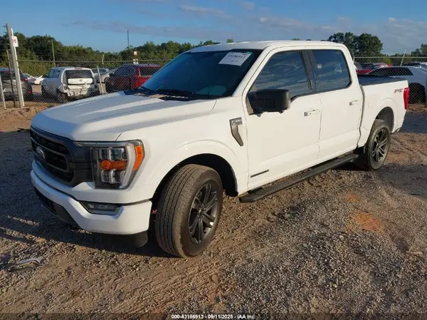 1FTFW1ED1PFD09610 2023 FORD F-150 - Image 2