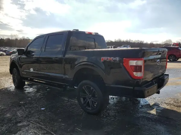 1FTFW1ED2MFC72207 2021 FORD F-150 - Image 2