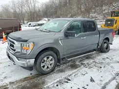 1FTFW1ED2NFB24771 2022 FORD F-150