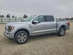 1FTFW1ED2PFA18159 2023 FORD F-150