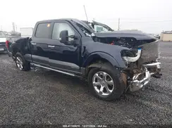 1FTFW1ED2PFA41389 2023 FORD F-150