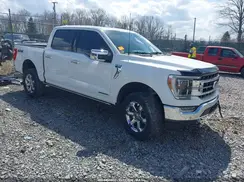 1FTFW1ED2PFA57964 2023 FORD F-150