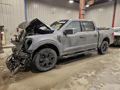1FTFW1ED2PFA97784 2023 FORD F-150