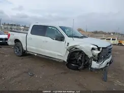 1FTFW1ED2PFA97901 2023 FORD F-150