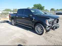 1FTFW1ED2PFB32291 2023 FORD F-150