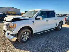1FTFW1ED2PFB40262 2023 FORD F-150