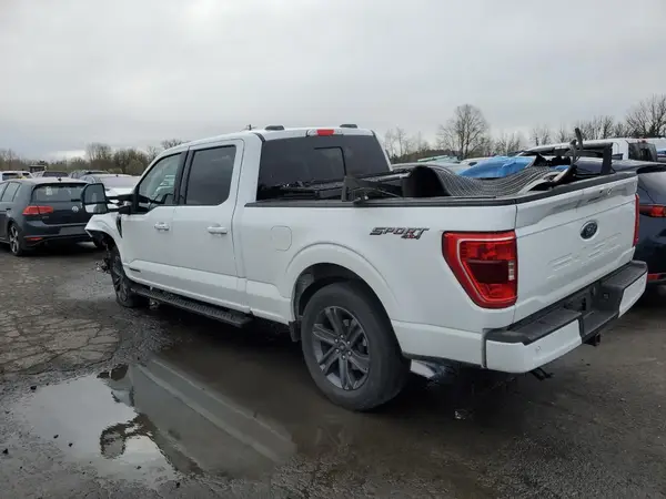 1FTFW1ED2PFB64111 2023 FORD F-150 - Image 2