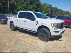 1FTFW1ED2PFC86631 2023 FORD F-150