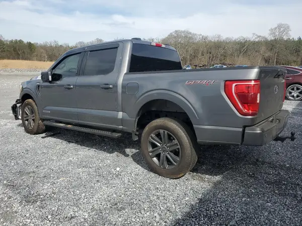 1FTFW1ED2PFD05422 2023 FORD F-150 - Image 2