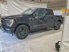1FTFW1ED3MFA84859 2021 FORD F-150
