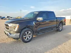 1FTFW1ED3MFB53808 2021 FORD F-150
