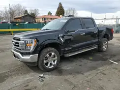 1FTFW1ED3PFA86468 2023 FORD F-150