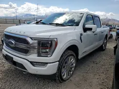 1FTFW1ED3PFB64117 2023 FORD F-150