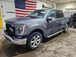 1FTFW1ED3PFC46302 2023 FORD F-150