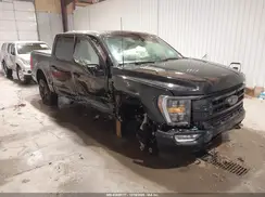 1FTFW1ED3PFC67568 2023 FORD F-150