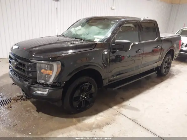 1FTFW1ED3PFC67568 2023 FORD F-150 - Image 2