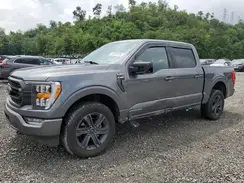 1FTFW1ED3PFC75363 2023 FORD F-150