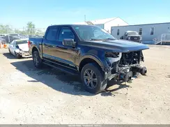 1FTFW1ED3PFD05901 2023 FORD F-150