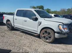 1FTFW1ED3PFD09852 2023 FORD F-150
