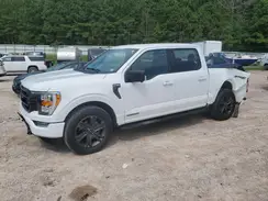 1FTFW1ED3PFD10029 2023 FORD F-150