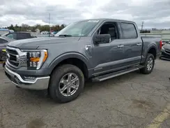 1FTFW1ED3PFD31351 2023 FORD F-150