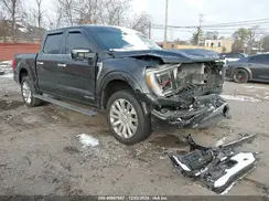 1FTFW1ED4NFB02299 2022 FORD F-150