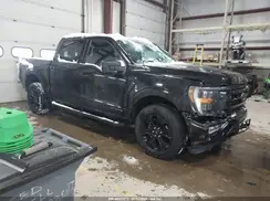 1FTFW1ED4PFA31088 2023 FORD F-150