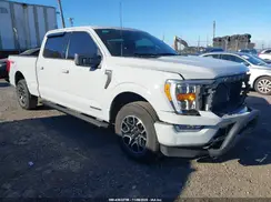 1FTFW1ED4PFA85006 2023 FORD F-150