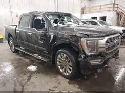 1FTFW1ED4PFB13807 2023 FORD F-150