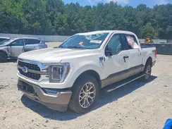 1FTFW1ED4PFB46161 2023 FORD F-150
