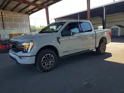 1FTFW1ED4PFB95070 2023 FORD F-150