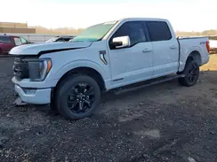 1FTFW1ED4PFC92592 2023 FORD F-150