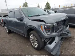 1FTFW1ED5PFA16440 2023 FORD F-150