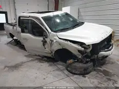 1FTFW1ED5PFA38499 2023 FORD F-150