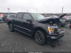 1FTFW1ED5PFA75391 2023 FORD F-150