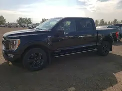 1FTFW1ED5PFB38215 2023 FORD F-150