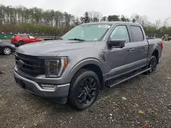 1FTFW1ED5PFB87981 2023 FORD F-150