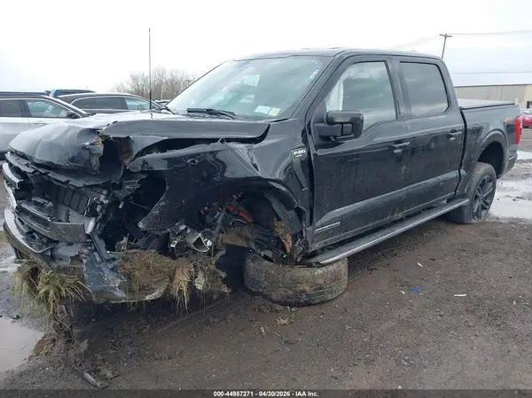 1FTFW1ED5PFC40033 2023 FORD F-150 - Image 2