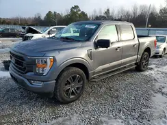 1FTFW1ED5PFD08699 2023 FORD F-150
