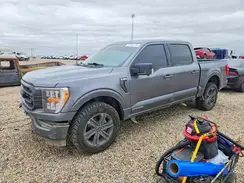 1FTFW1ED5PFD09559 2023 FORD F-150