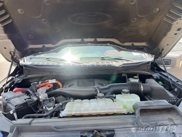 1FTFW1ED6MFC37413 2021 FORD F-150 - Image 8