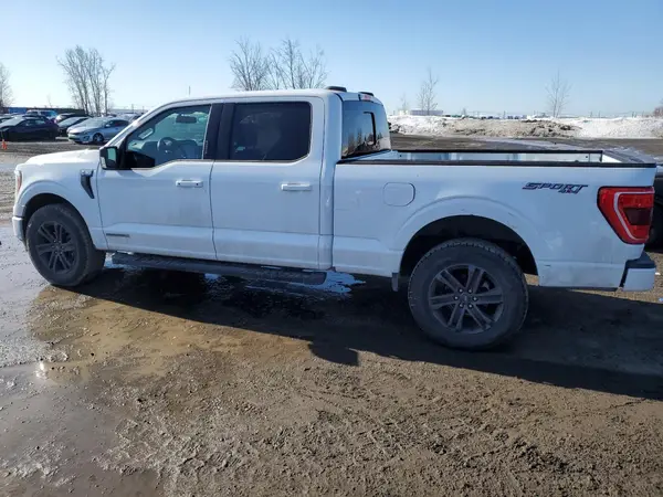 1FTFW1ED6NFB47602 2022 FORD F-150 - Image 2