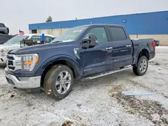 1FTFW1ED6PFA50449 2023 FORD F-150