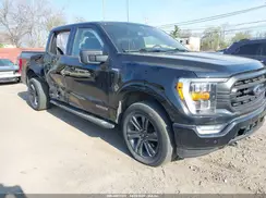 1FTFW1ED6PFB31919 2023 FORD F-150