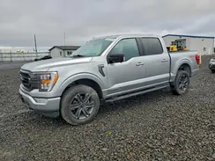 1FTFW1ED6PFB44878 2023 FORD F-150