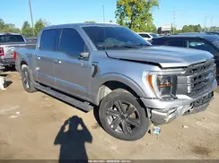1FTFW1ED6PFB93501 2023 FORD F-150