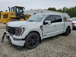 1FTFW1ED6PFB99038 2023 FORD F-150